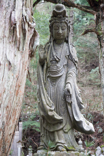 Buddha statue in Mount Koya Cemetery, Wakayama Japan