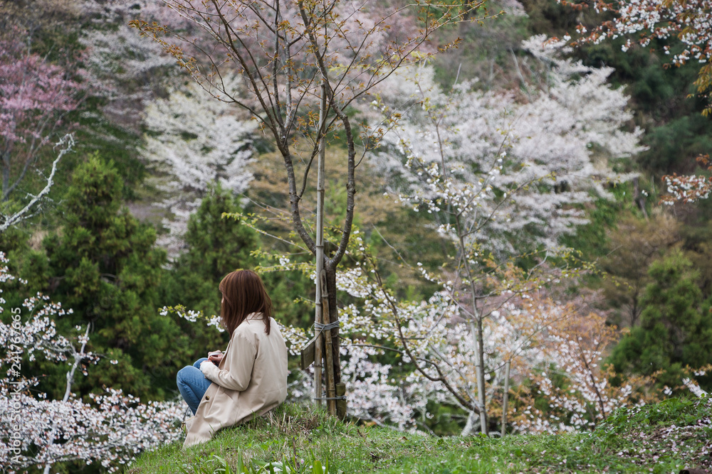 Woman sitting among spring cherryblossom (sakura) at Mount Yoshino in Japan Woman sitting among spring cherryblossom (sakura) at Mount Yoshino in Japan