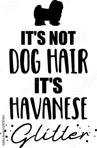 It s not dog hair  it s Havanese glitter