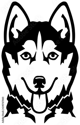 Husky head black and white