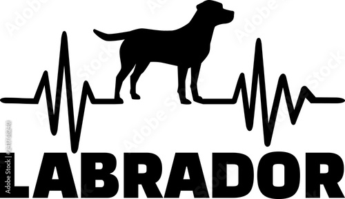 Labrador frequency silhouette