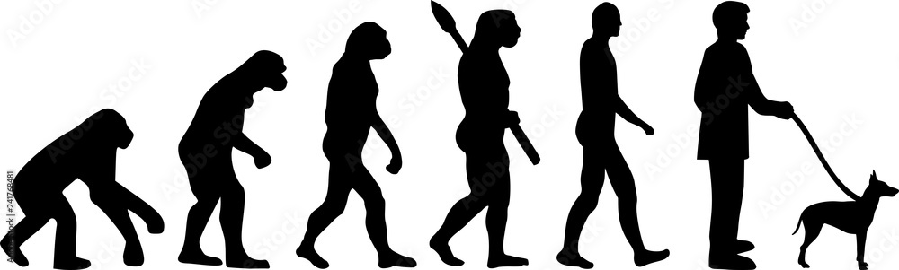 Manchester Terrier evolution Manchester Terrier evolution