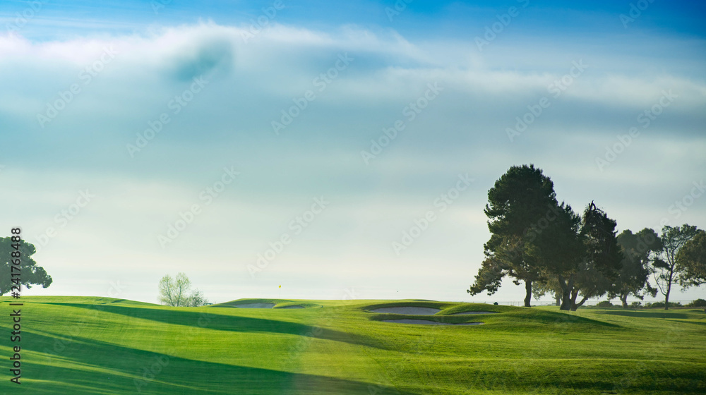 Fototapeta premium Torrey Pines San Diego