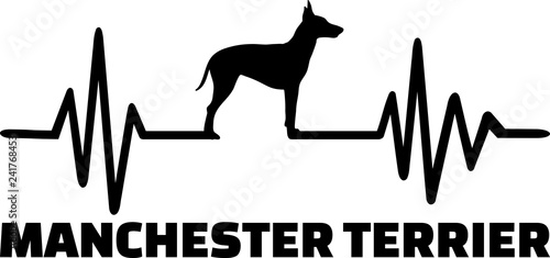 Manchester Terrier heartbeat word