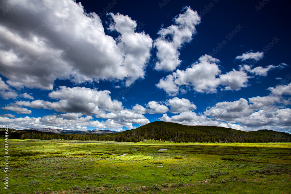 Yellowstone National Park, Wyoming: The western most edge of Yellowstone. Yellowstone National Park, Wyoming: The western most edge of Yellowstone.
