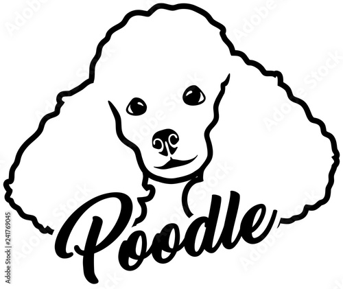 Poodle head black and white