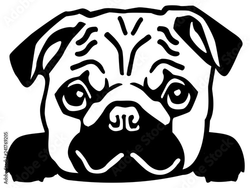 Pug head