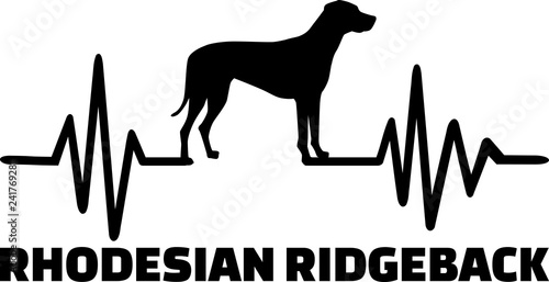Fotografia Rhodesian Ridgeback frequency silhouette