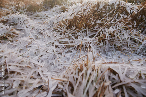 Frozen Ground wit Ice and grass and snow in the winter
