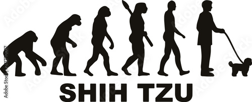 Shih Tzu evolution