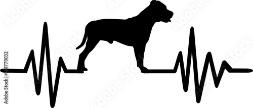 Staffordshire Bull Terrier pulse