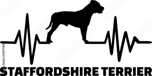 Staffordshire Bull Terrier heartbeat