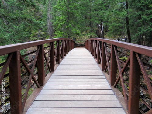 Bridge over a river leading to forest trail
