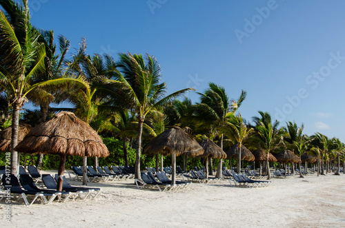 Tropical beach with white sand and the palm trees in Riviera Maya, Mexico 