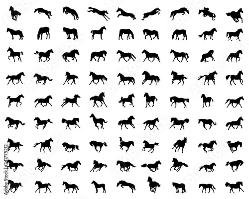 Big set of horses silhouettes on a white background © SilhouetteDesigner