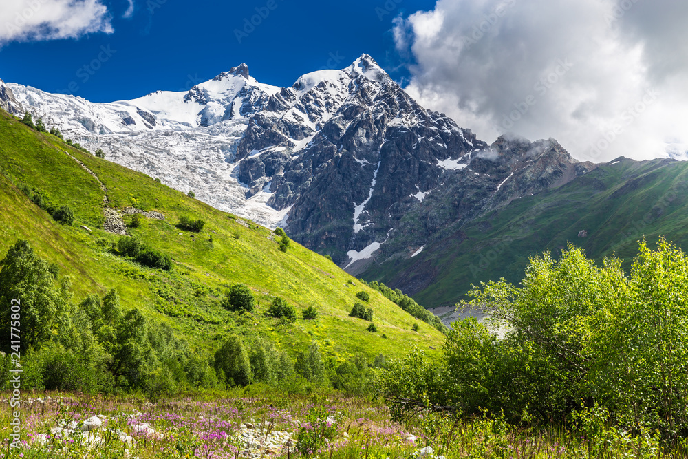 Beautiful view of the mount Tetnuldi. Caucasus mountain  landscape