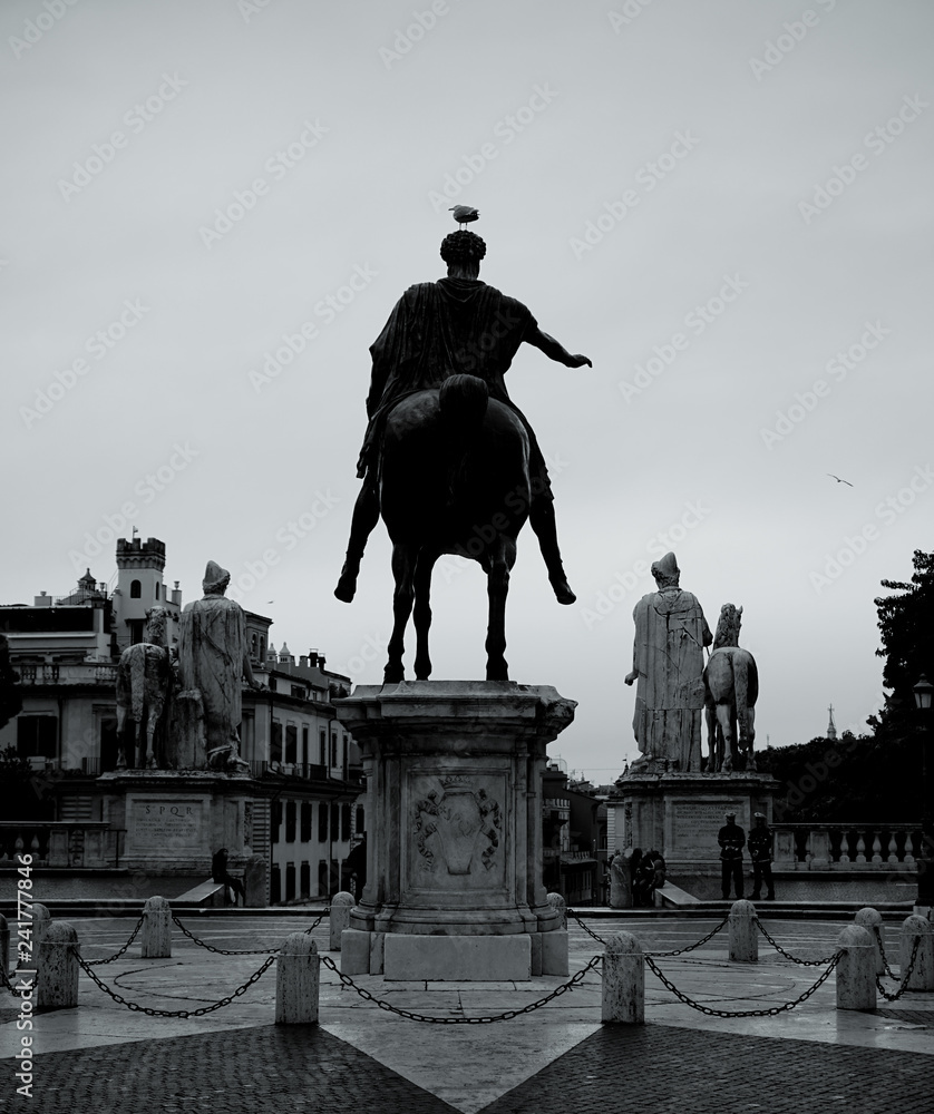 Obraz premium seagull on the head of a sculpture