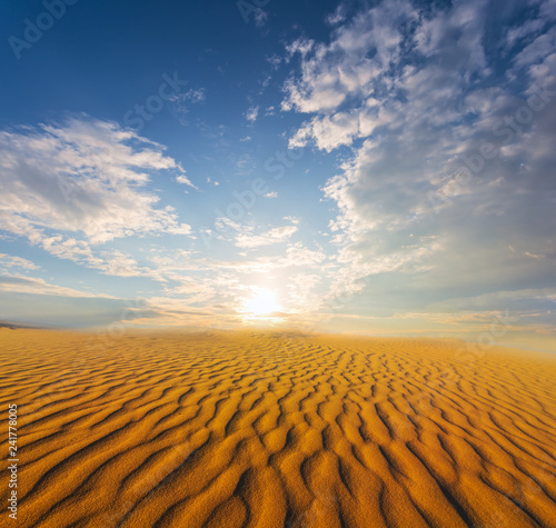 hot summer sandy desert landscape