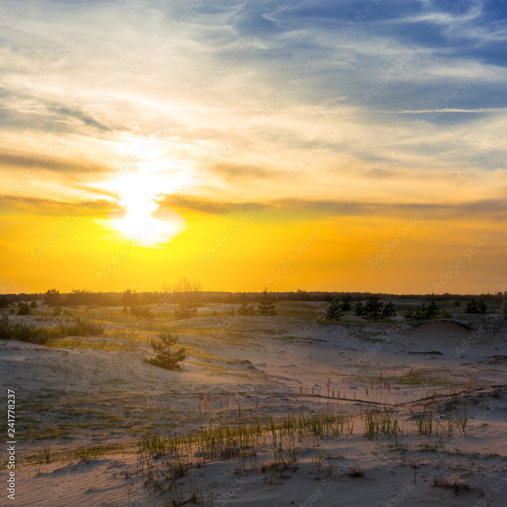 summer sandy prairie landscape at the sunset