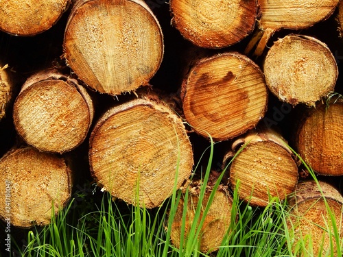 Wood