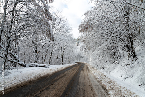 beautiful snowy landscape