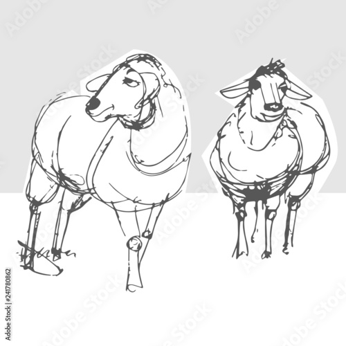 Hand-drawn sketch of two sheep standing in a meadow. black, white, gray, animals, sheep,