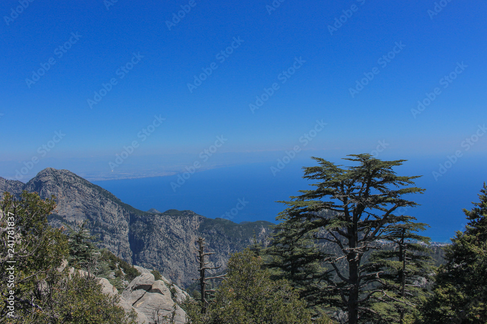 the sea, pine forest and mountains-it's the Lycian way