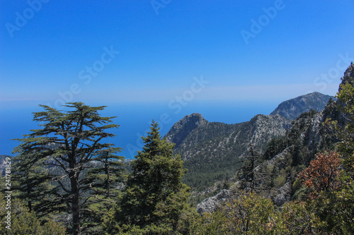 the sea, pine forest and mountains-it's the Lycian way