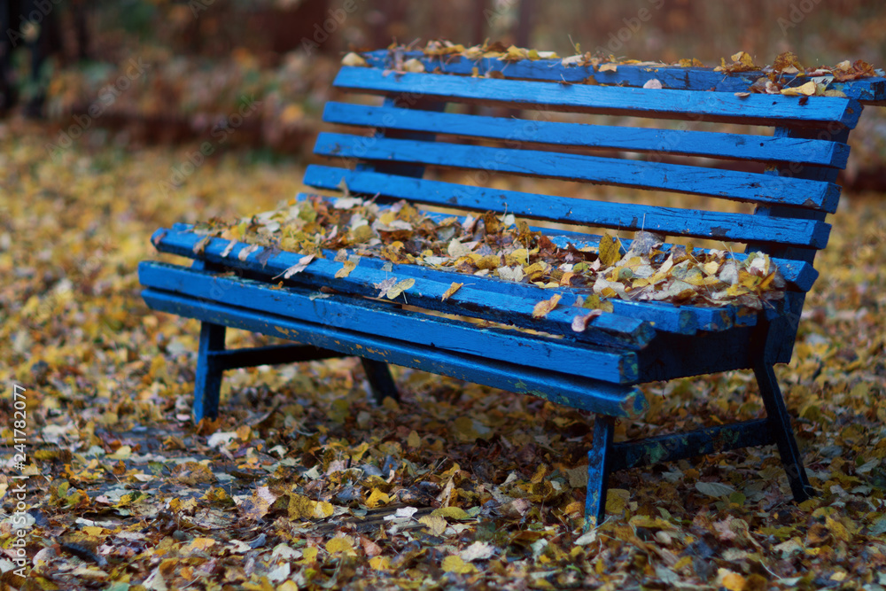 Blue old empty abandoned bench with autumn leaves on it. Beginning of autumn time small yellow autumn leaves on bench and on the ground in the park or forest Blue old empty abandoned bench with autumn leaves on it. Beginning of autumn time small yellow autumn leaves on bench and on the ground in the park or forest