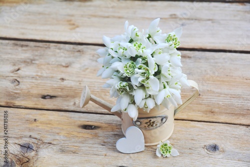 Schneeglöckchen Blumenstrau...