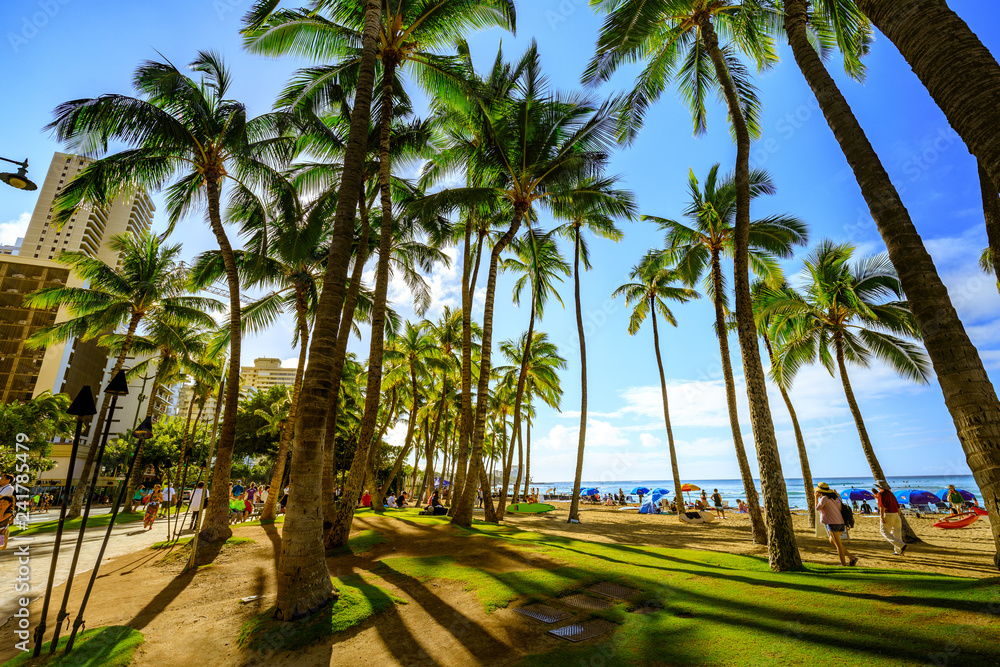 Fototapeta premium Oahu Waikiki Beach, Honolulu