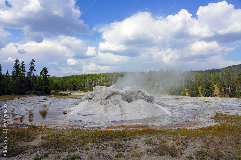 View of the oddly-shaped Grotto Geyser in the Upper Geyser Basin in Yellowstone National Park, United States