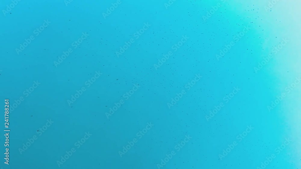 birds flock in the sky concept. birds circling in the sky, a flock of crows. Silhouettes flying birds lifestyle on blue background birds flock in the sky concept. birds circling in the sky, a flock of crows. Silhouettes flying birds lifestyle on blue background