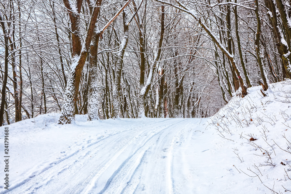 Silence on a winter road in the forest. Silence on a winter road in the forest.