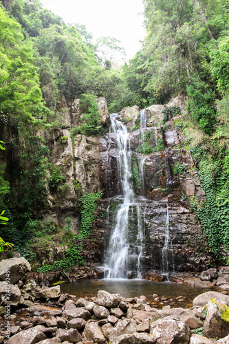 Tropical waterfall in Australia within green and vivid rainforest (Minnamurra Rainforest, Budderoo National Park, Australia) photo