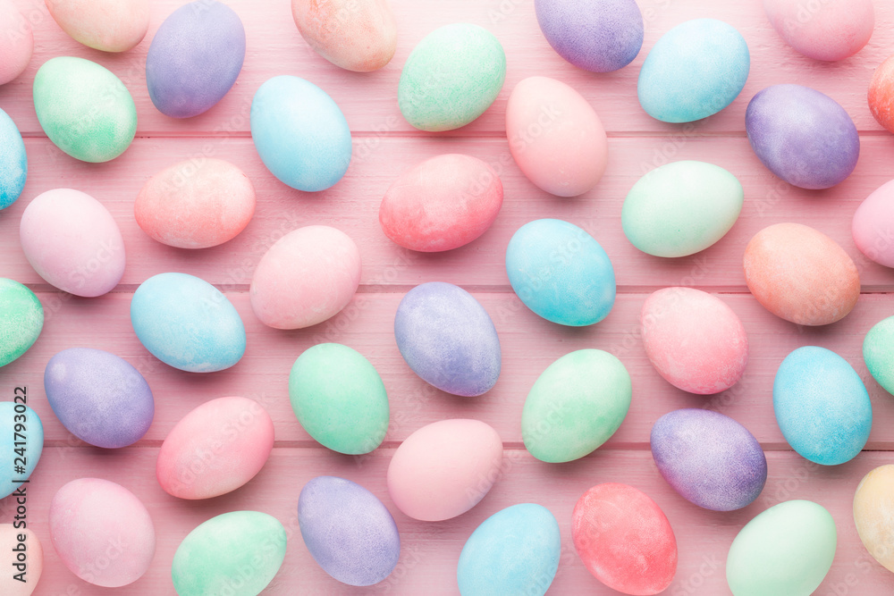 Pink pastel color tulip on the white background. Easter background. Pink pastel color tulip on the white background. Easter background.