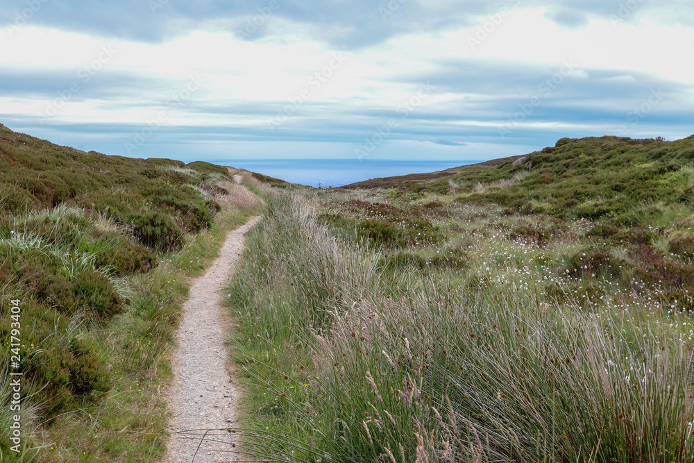 path to the sea 