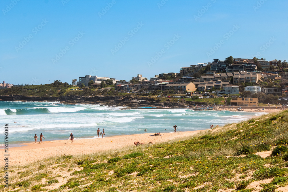 Curl Curl Beach, one of Sydney's Northern beaches, on a clear summer day with surfers, big waves, white sand and green grass (Sydney, Australia)