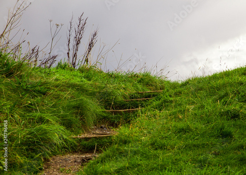Canvas Print Outdoors step up grassy hillside