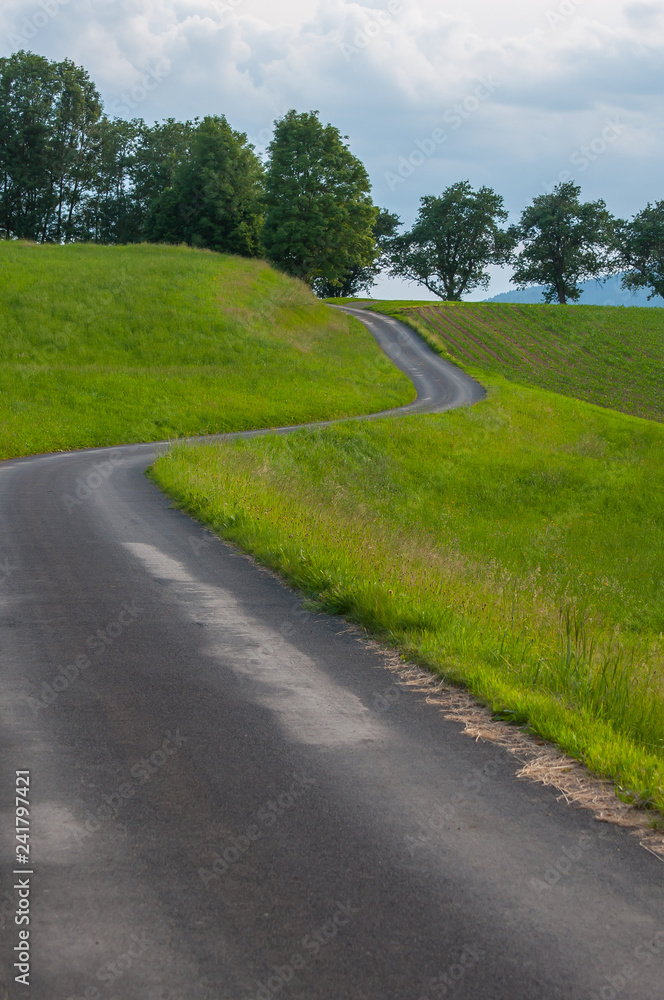 road to nowhere in nature