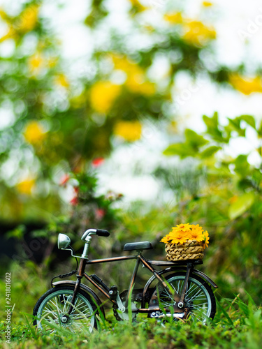 bicycle toy with yellow daisy flower in park green filed background 