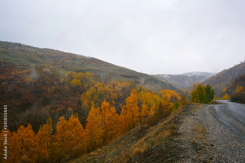The seasonal view of Havadorik Valley (derecik), Mus, Turkey The seasonal view of Havadorik Valley (derecik), Mus, Turkey