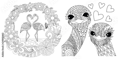 Flamingos and ostriches couples set for card, invitation and coloriing book,coloring page or colouring picture. Vector illustration