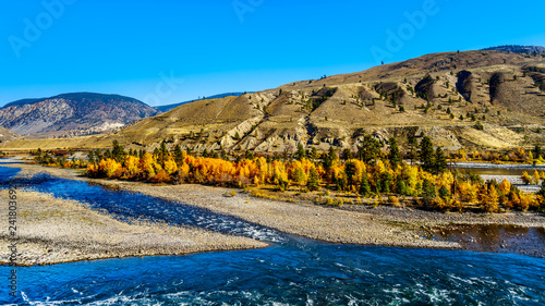 Fall colors surrounding the Thompson River, just north of the town of Spences Bridge on the Fraser Canyon route of the Trans Canada Highway in British Columbia, Canada
 photo