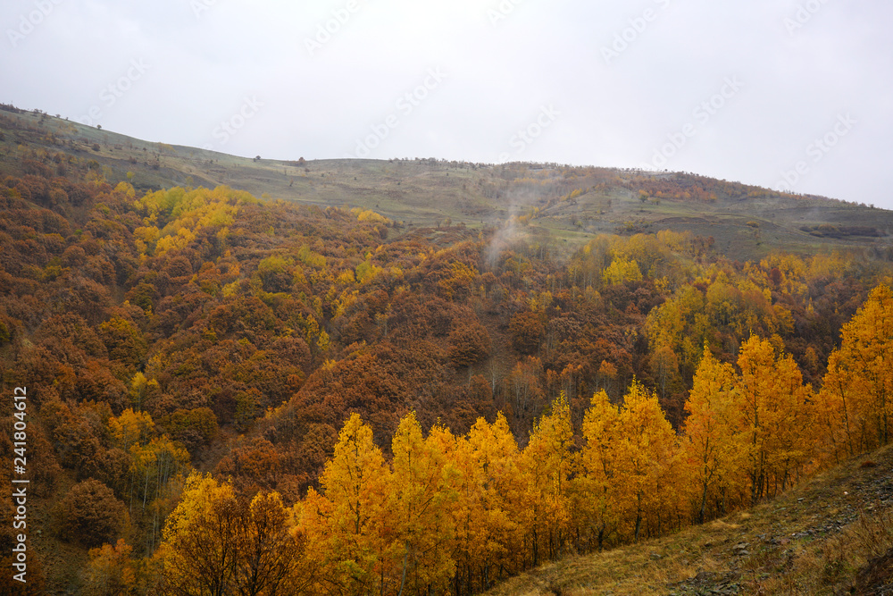Fototapeta premium The seasonal view of Havadorik Valley (derecik), Mus, Turkey