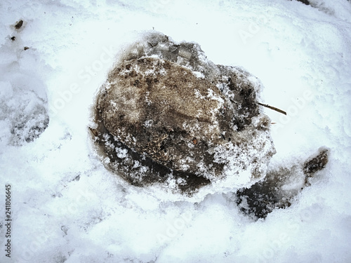 Fototapeta Naklejka Na Ścianę i Meble -  Icy horse footprint in snow, detailed piece