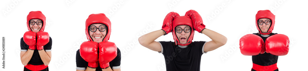 Funny boxer isolated on the white Funny boxer isolated on the white