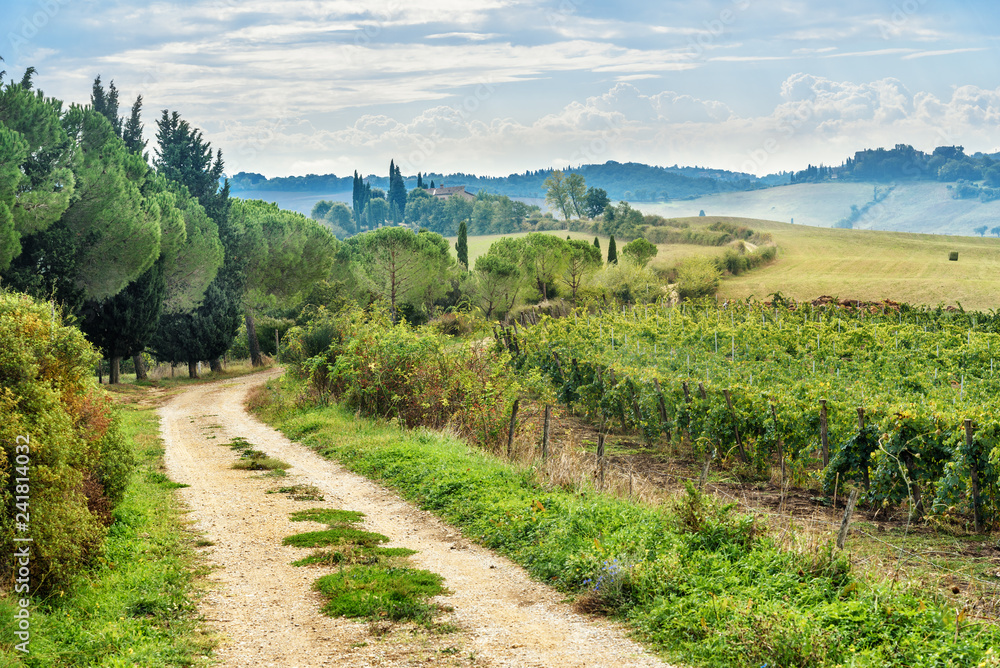 Landscapein Chianti region in province of Siena. Tuscany. Italy Landscapein Chianti region in province of Siena. Tuscany. Italy