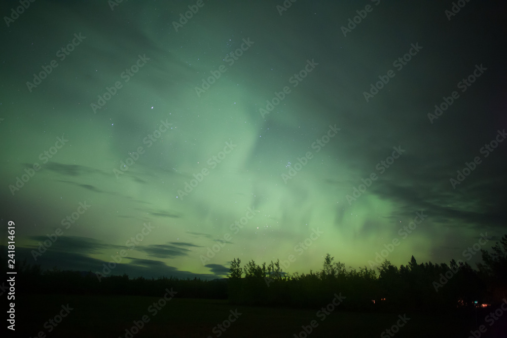 Auroras Boreales y luces del norte, Whitehorse, Yukon Auroras Boreales y luces del norte, Whitehorse, Yukon