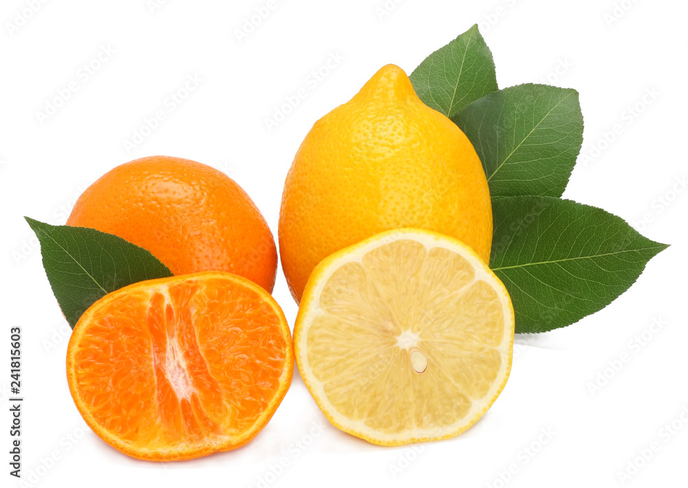 Orange and lemon isolated on white background Orange and lemon isolated on white background